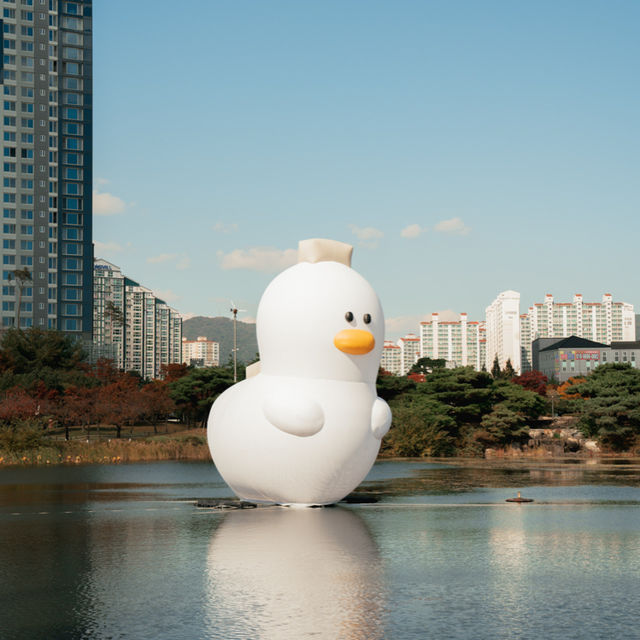 김해에도 거대한 오리가떳다!!