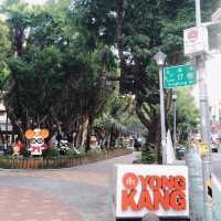 🌳可愛又熱鬧的Yongkang Park 永康公園🌳