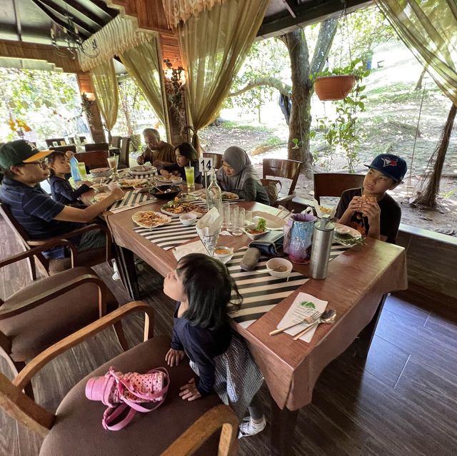 Day Trip - Back to Nature Cafe