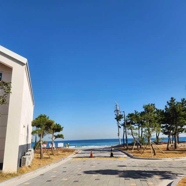강원도 동해시 망상해수욕장 :: 올해 중 제일 예쁜 바다 👍