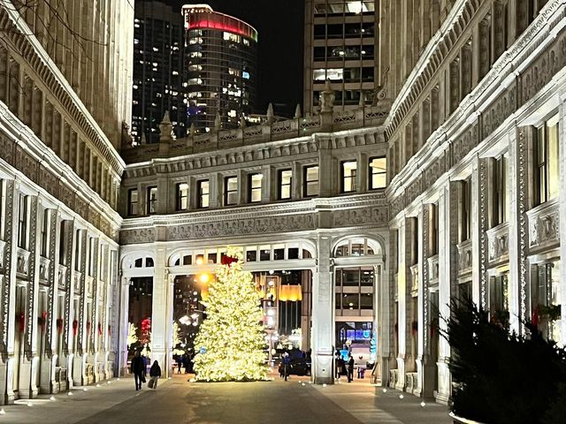 Evening Walk - Chicago during Christmas 