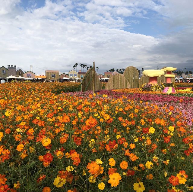 心花開//2022台中國際花毯節