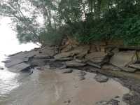 สุสานหอย 75 ล้านปี