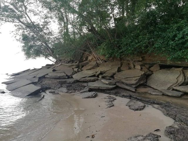 สุสานหอย 75 ล้านปี