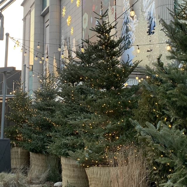 압구정 현대백화점에 찾아온 크리스마스 🎄