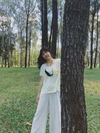 ใครไม่สน เราสน 🌲🌲