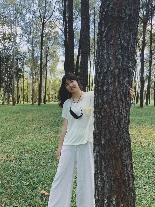 ใครไม่สน เราสน 🌲🌲