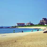 🏖 모래가 아닌 산호로 빛나는 해변, 우도 서빈백사해수욕장