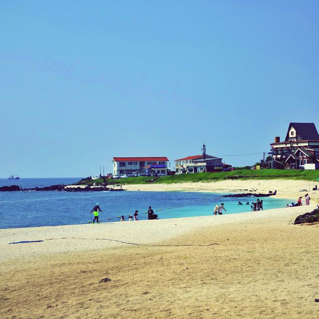 🏖 모래가 아닌 산호로 빛나는 해변, 우도 서빈백사해수욕장
