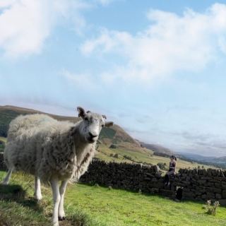 曼徹斯特出發Peak District 行山 人氣行山徑 Jacobs Ladder Kinder Scout