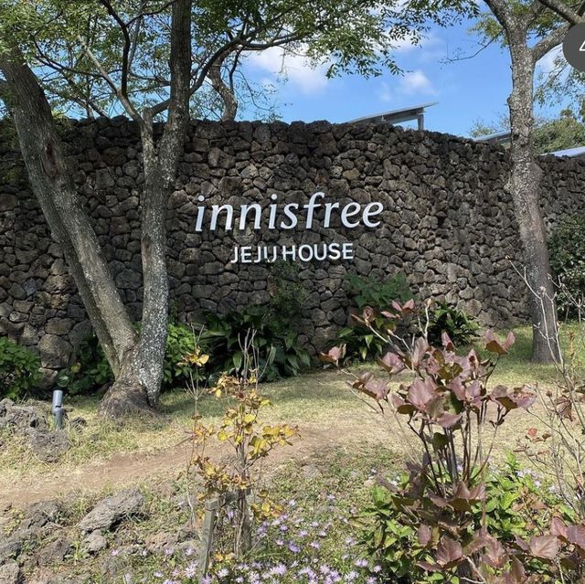 Innisfree rejuvenation, a must do in Jeju! 