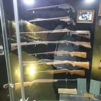 Amazing zooalogical museum 