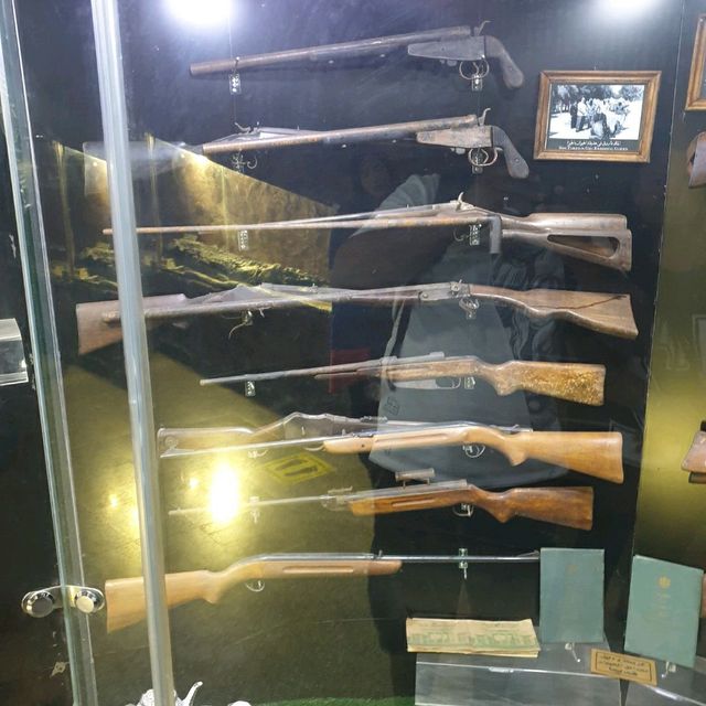 Amazing zooalogical museum 
