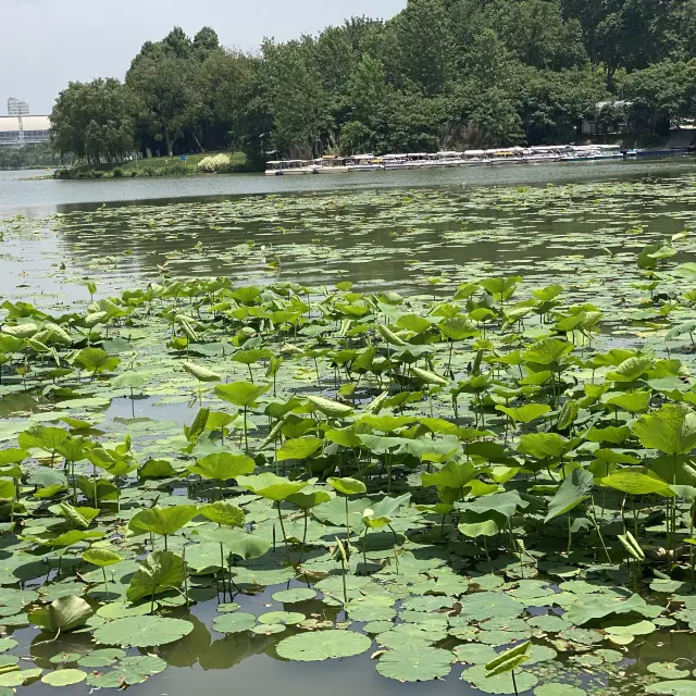 Xuanwu Lake Nanjing