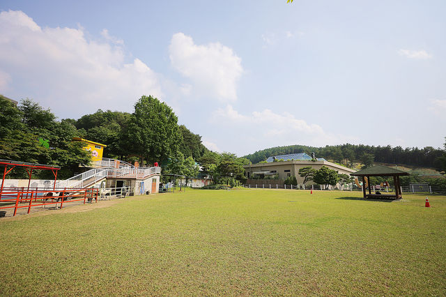 양평 미리내승마클럽 말과 친해질수 있어요