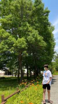풀과 나무가 아름다운 경상남도수목원 🌳🌿