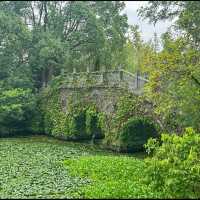 Shanghai Hanxiang Water Garden Park 🌱