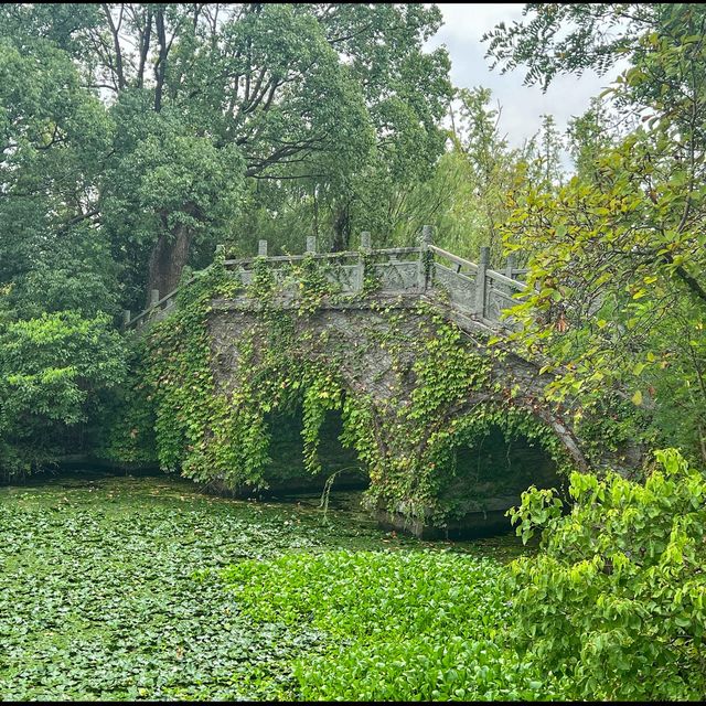 Shanghai Hanxiang Water Garden Park 🌱  Shanghai Hanxiang Water Garden Park 🌱