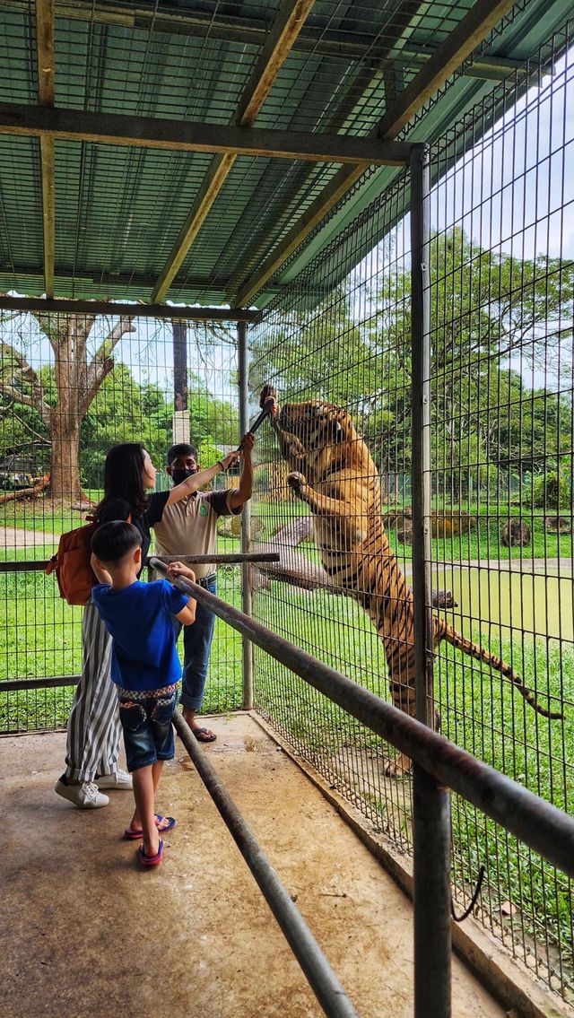 A day trip to the surprising Malaysia Wildlife Park.