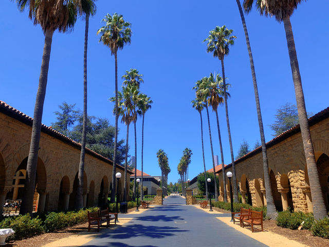 The wind of freedom always blows: Stanford University, the world-renowned immersive playground for children of prestigious schools.