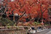 Just second to Sensoji Temple in age, yet it possesses a national treasure Buddha statue.