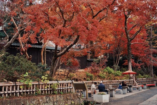 Just second to Sensoji Temple in age, yet it possesses a national treasure Buddha statue.