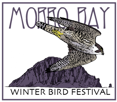 Morro Bay Winter Bird Festival 2024 | Inn at Morro Bay