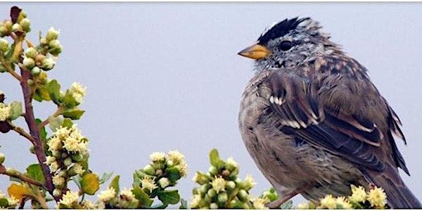 Discovering the Joys of Birding: An Introduction for Beginners | Point Reyes National Seashore Bear Valley Picnic Tables