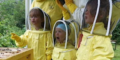Family Bee Experience | Frylands Wood Scout Outdoor Centre