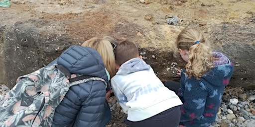 Fascinating fossils (EDU FAMILY) | West Runton Beach