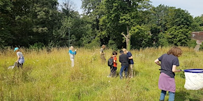 Eco-Explorers Summer Camp 2025 | Vine Road Recreation Ground