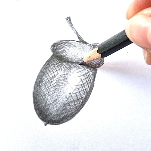 Introduction to Drawing | Desborough Library