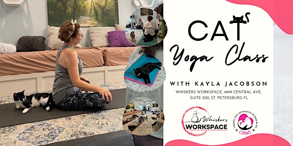 Cat Yoga Class with Kayla Jacobson | 4699 Central Ave