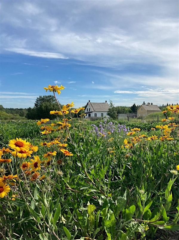 Historic River Lots Weed Warriors Community Workshop | 2 Meadowview Dr
