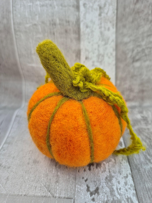 Needle felted Pumpkin Workshop (ECC2806) | Carlton Marshes Nature Reserve & Visitor Centre