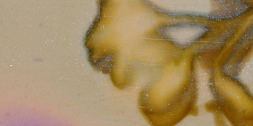 Holiday Card Making and Printing | 318 McDermot Avenue, Winnipeg, MB, Canada