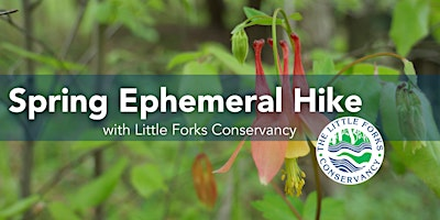 Spring Ephemeral Hike | Albert & Virginia Szok Preserve