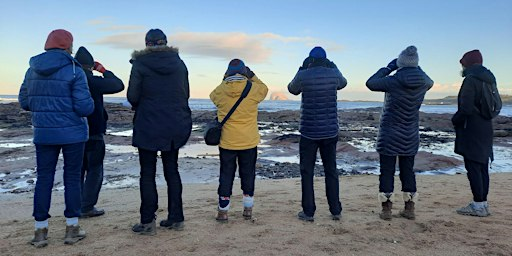 Coastal Wildlife Wanders | Scottish Seabird Centre