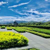 風景美好的Courtyard by Marriott Taipei 台北六福萬怡