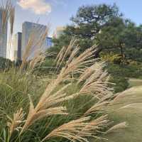 東京〝浜離宮恩賜庭園〟