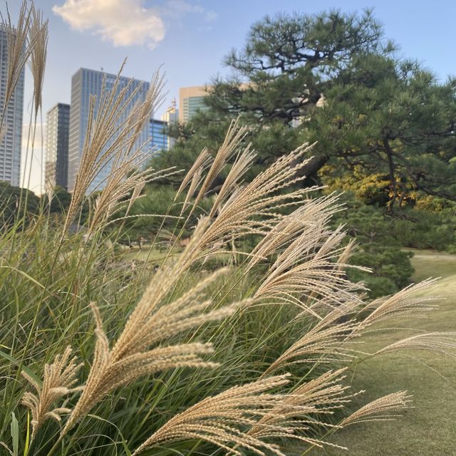 東京〝浜離宮恩賜庭園〟