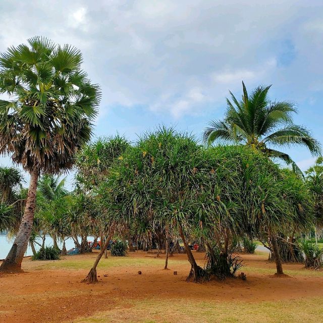 อ่าวนาวิกโยธิน หาดเตยงาม (Toey Ngam Beach)