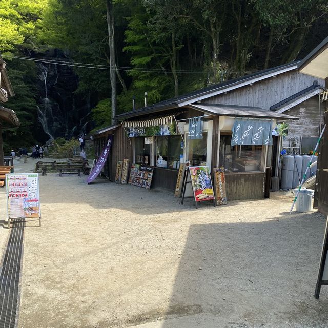 【福岡】マイナスイオンたっぷりで癒される