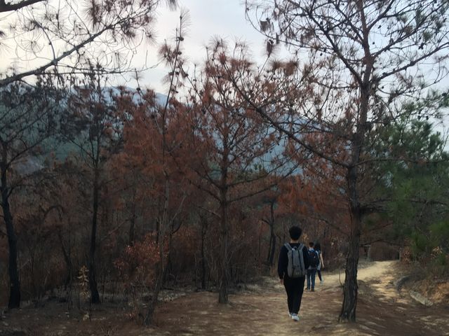 新手行山路線—千島湖清景台➡️黃泥墩水塘