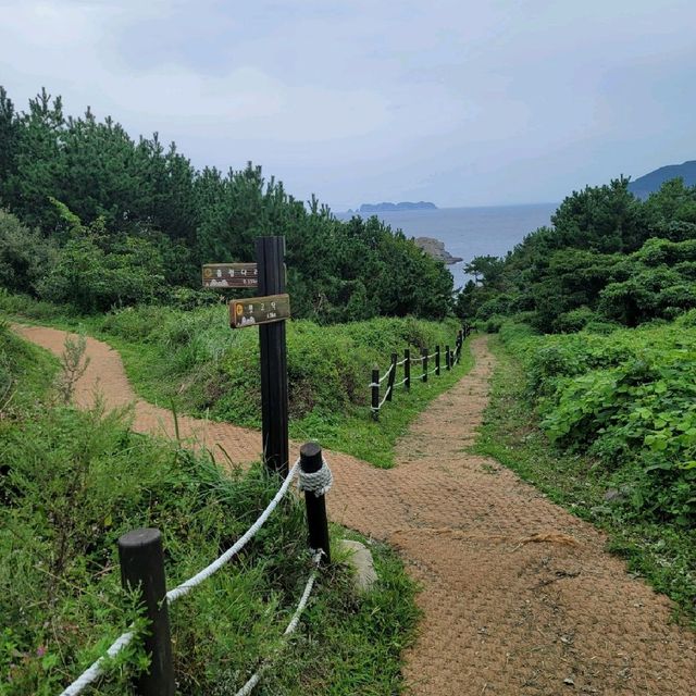 통영 욕지도의 구름다리 