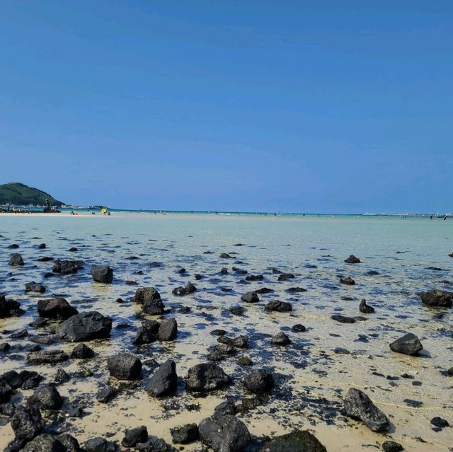 제주 금능 해수욕장