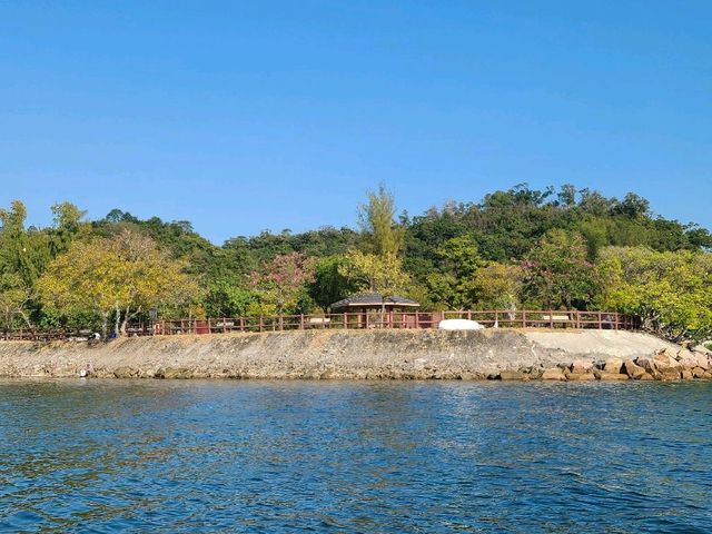 三項鐵人大尾篤🚴‍♀️🚣‍♀️