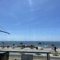 마토지뉴스 해변🏖 