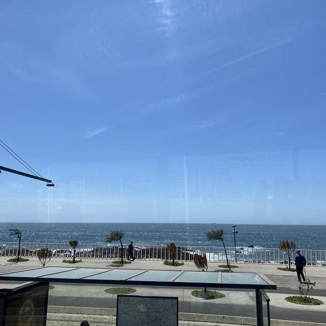 마토지뉴스 해변🏖 