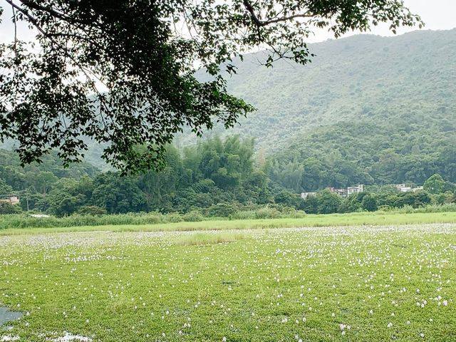 平頂坳